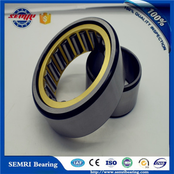 Hot Selling Roller Bearing Single Row Bearing (NU207)